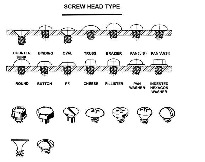screw head type